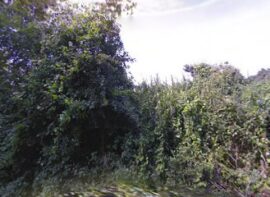 BlueBuild Self Storage