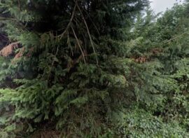 North Down Self Storage