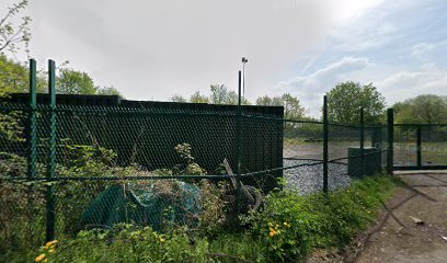 Norwood Green Storage Containers