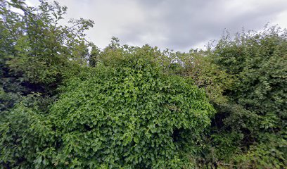Greenways Caravan Storage